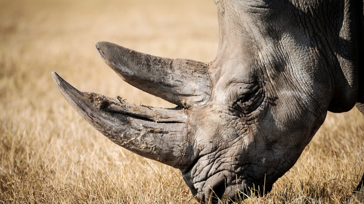 Création culinaire Cathy's Series